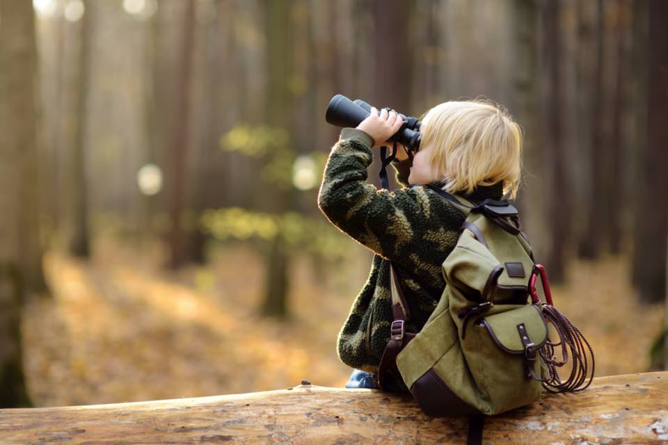 This image for Image Layouts addon