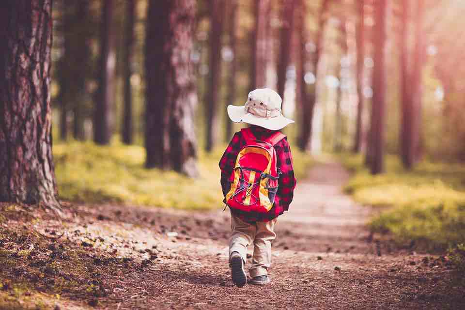 Jongetje met rugzak in het bos